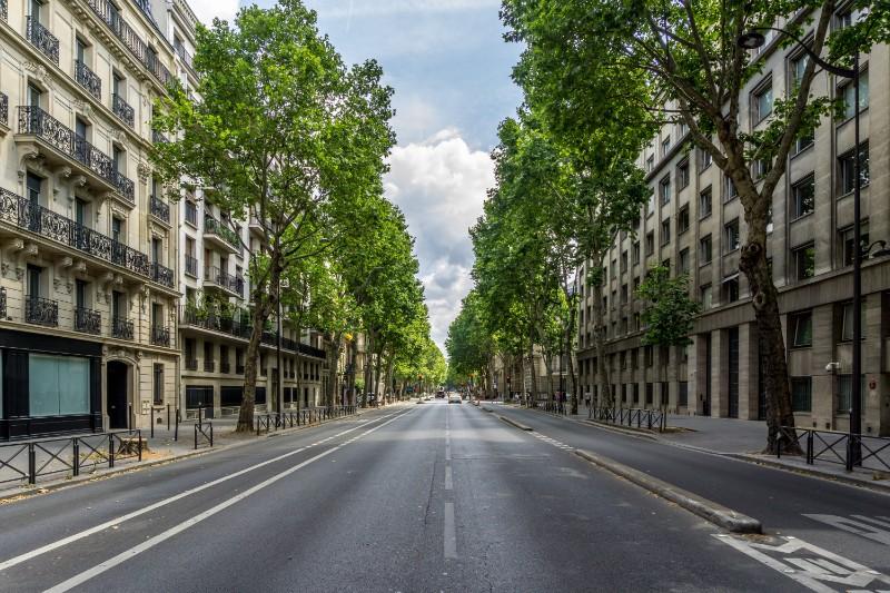 avenue avec arbres